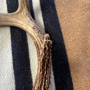 Very small pinky or toe ring